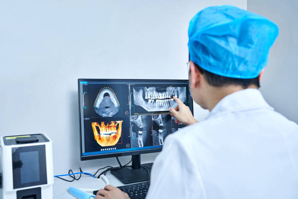Best Emergency X-Rays and Diagnostics in Beaufort, SC